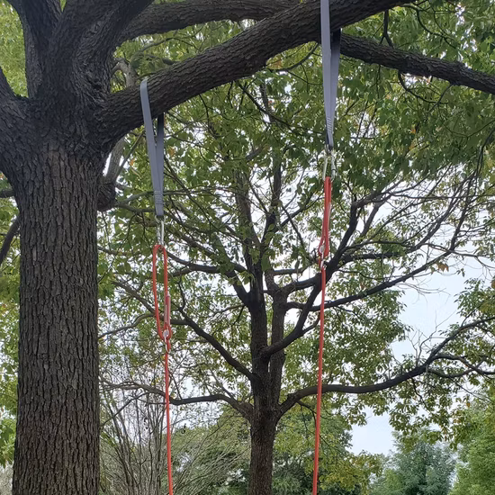 PE Peso Supporto 120 Kg Altalena per bambini per interni ed esterni